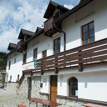 Penzion Skiland Petrikov Екстер'єр фото